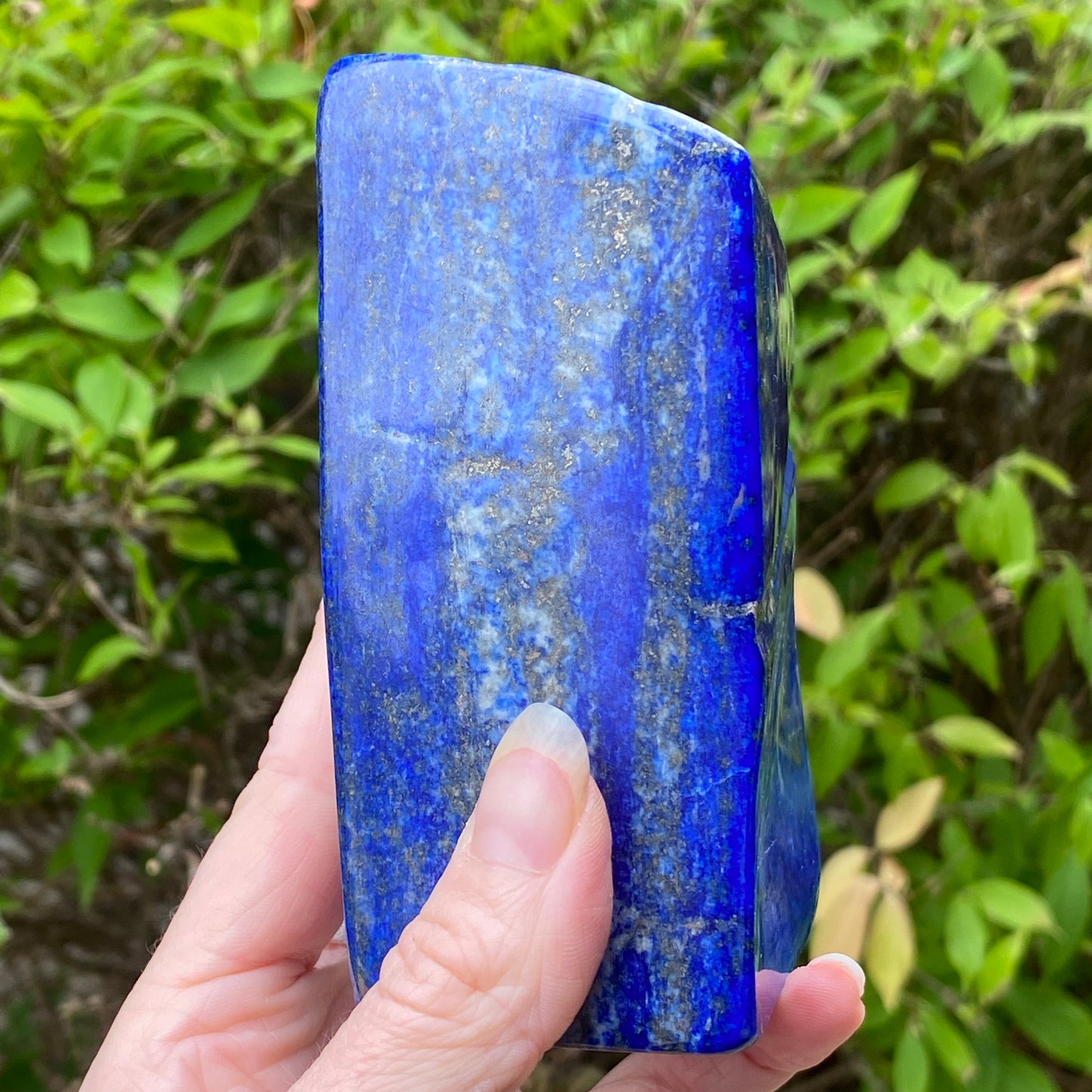 Lapis Lazuli Freeform