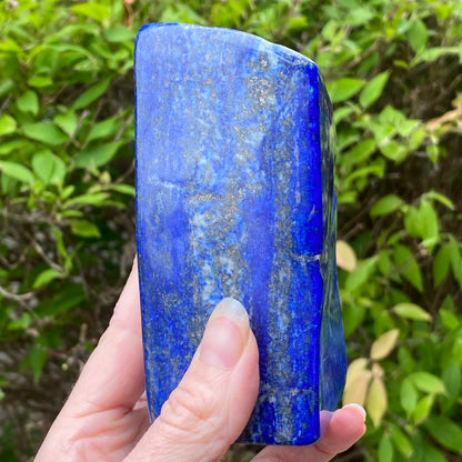Lapis Lazuli Freeform