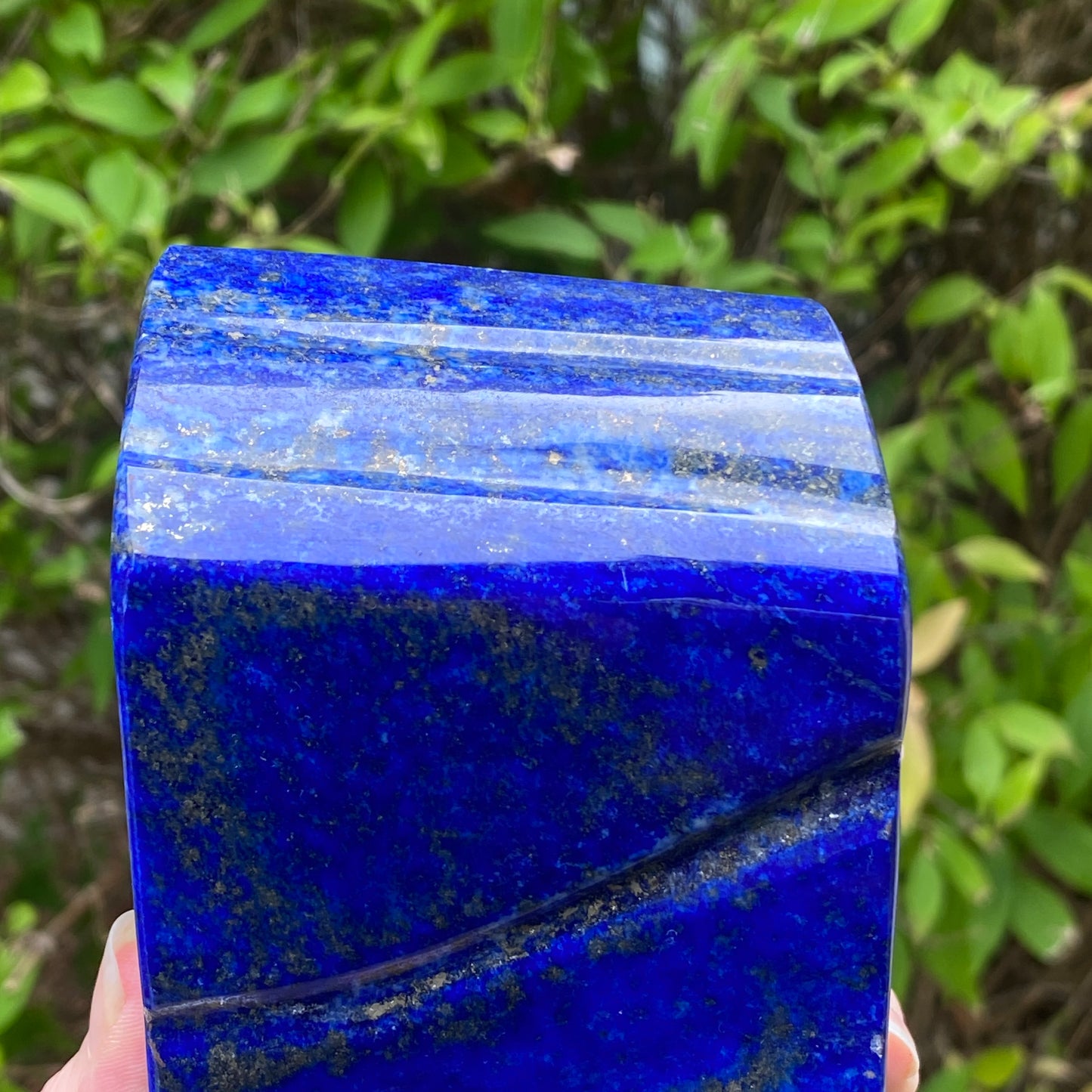 Lapis Lazuli Freeform