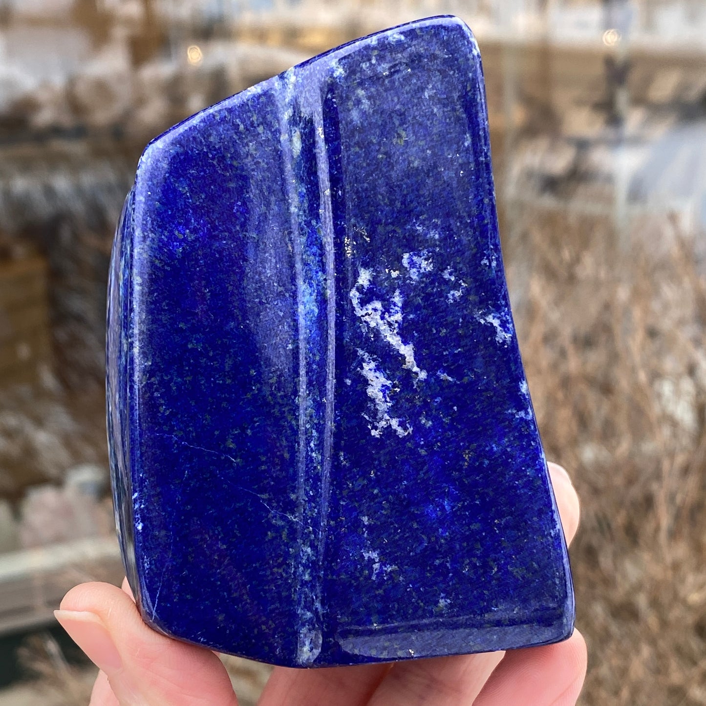 Lapis Lazuli Freeform