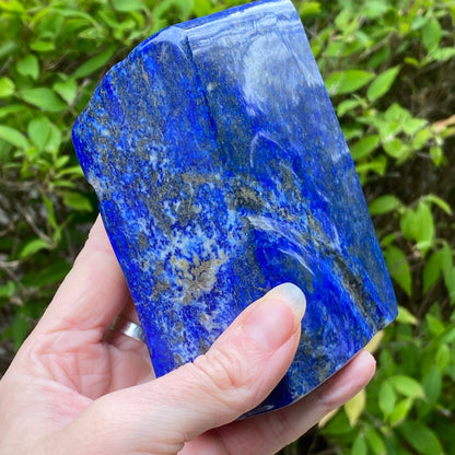 Lapis Lazuli Freeform