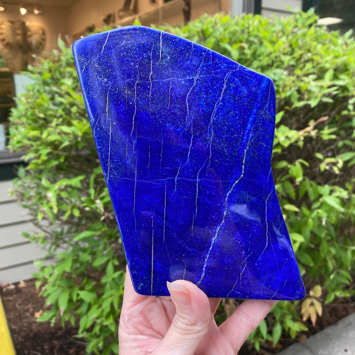 Lapis Lazuli Freeform