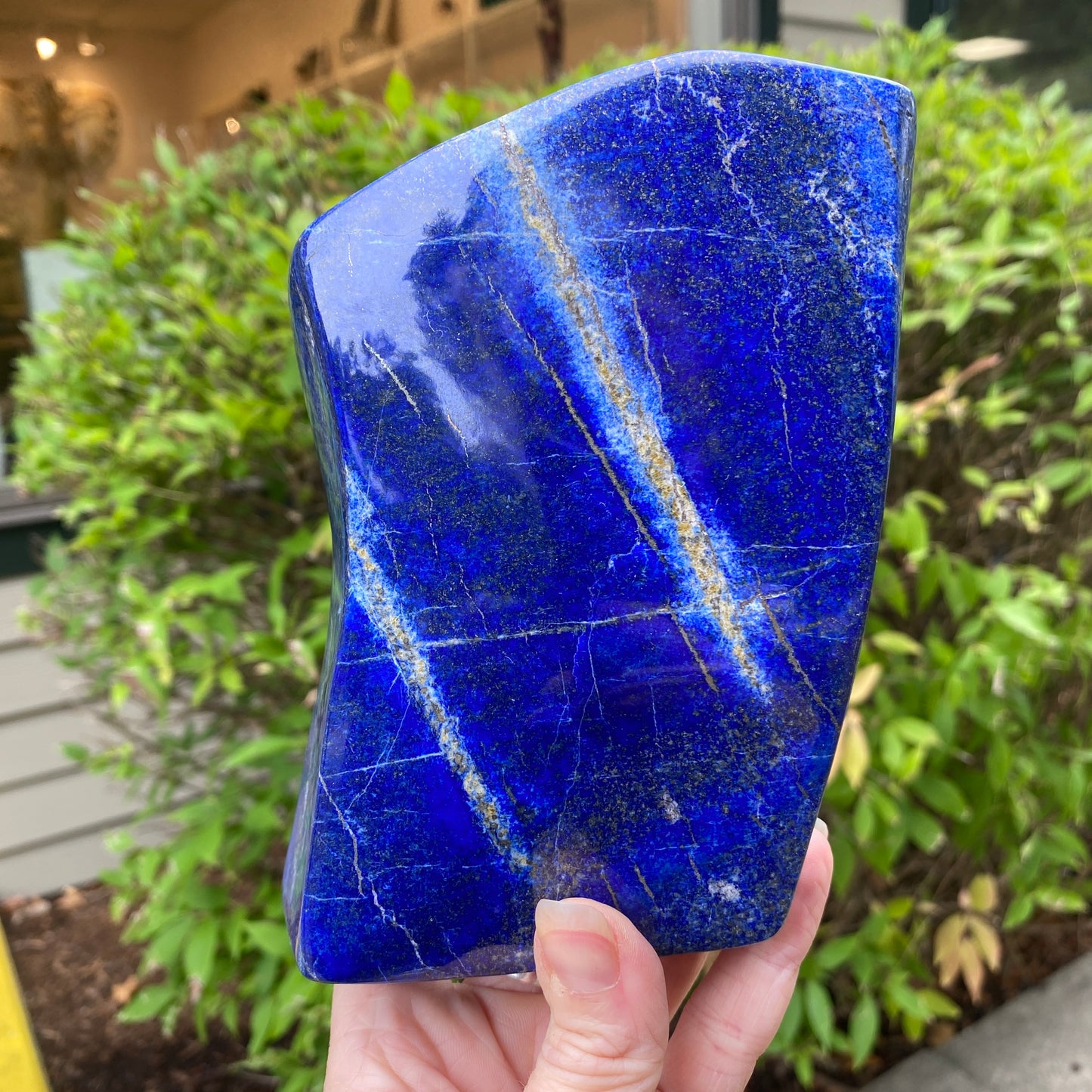 Lapis Lazuli Freeform