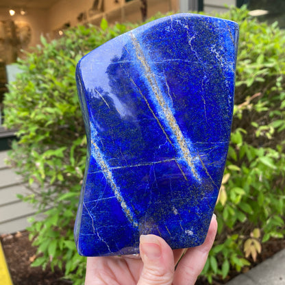 Lapis Lazuli Freeform