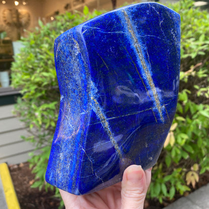 Lapis Lazuli Freeform