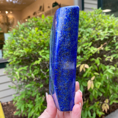 Lapis Lazuli Freeform