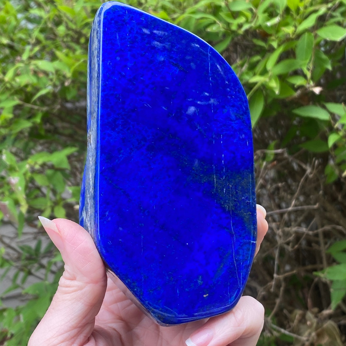 Lapis Lazuli Freeform