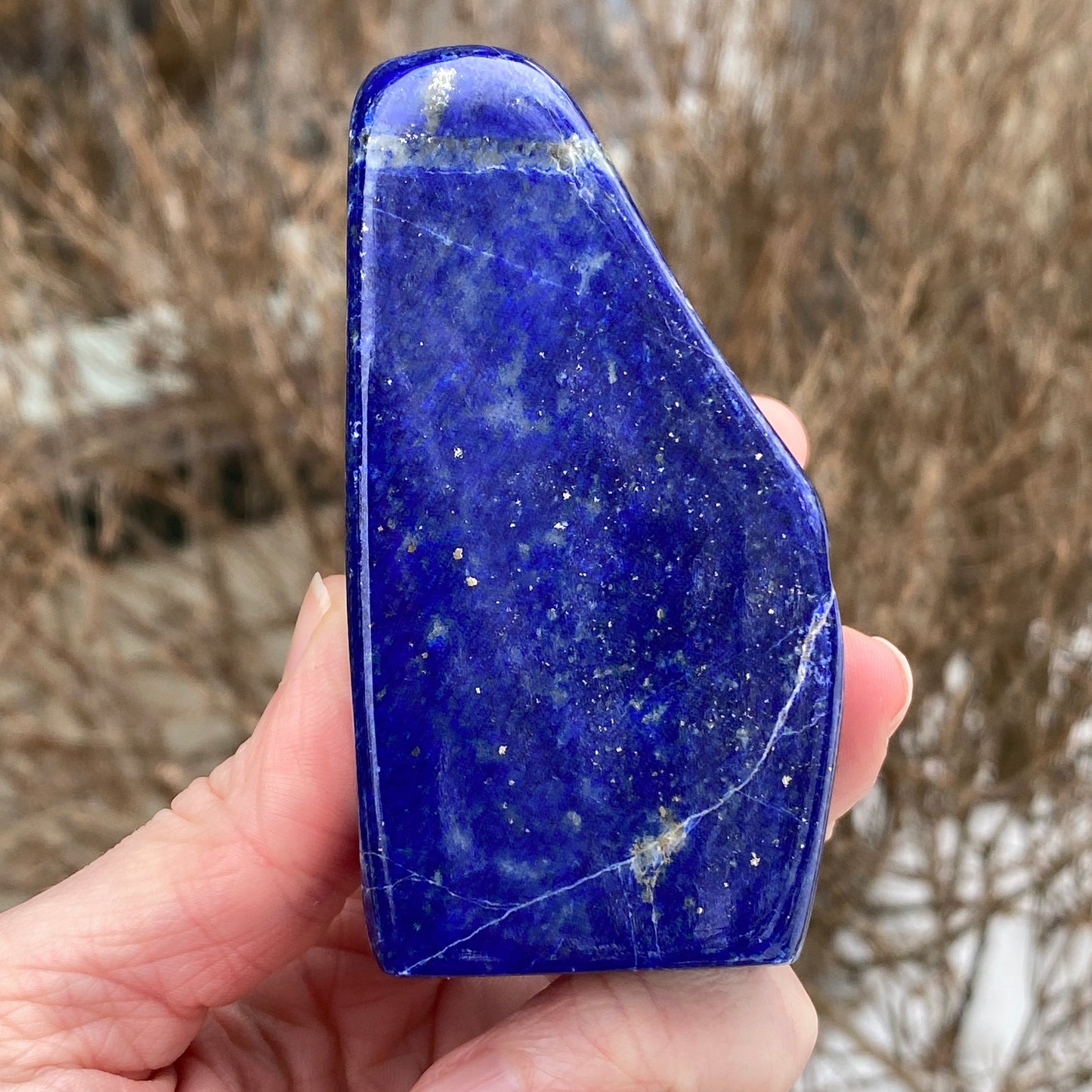 Lapis Lazuli Freeform