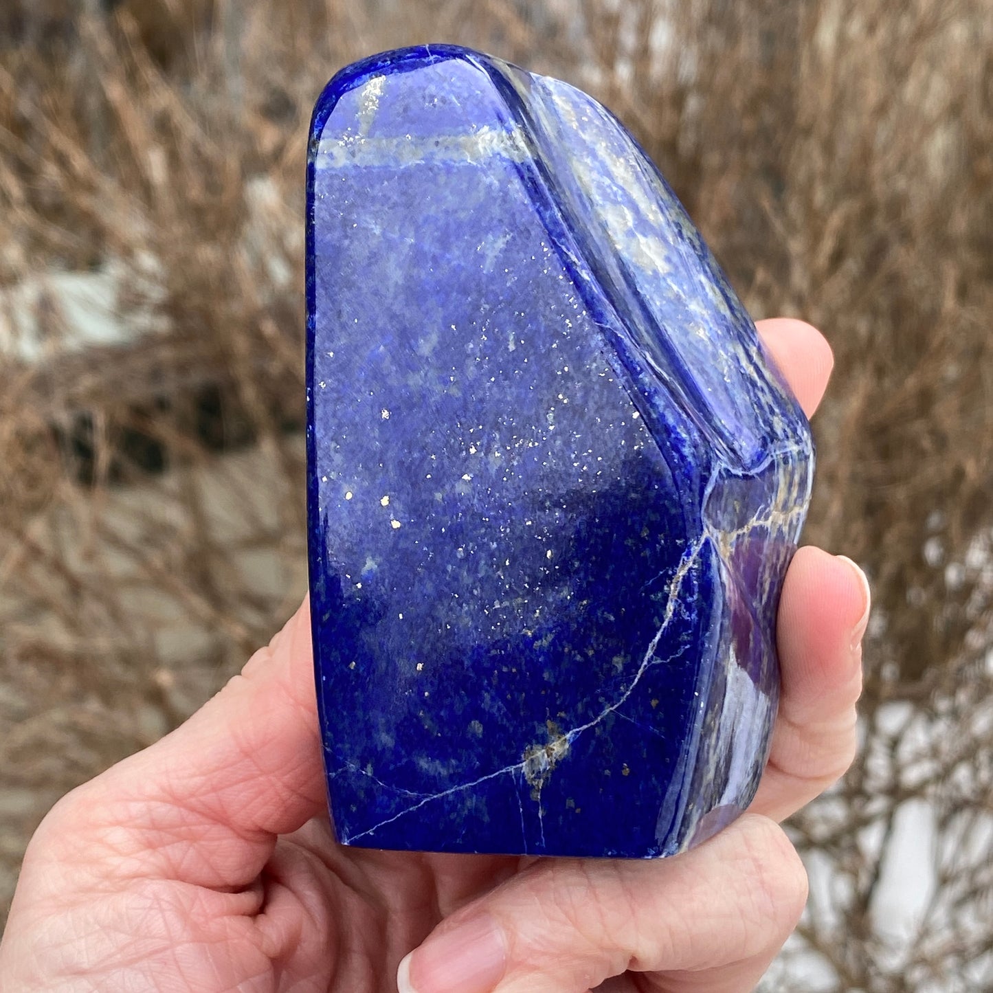 Lapis Lazuli Freeform