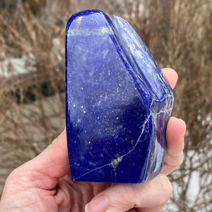 Lapis Lazuli Freeform