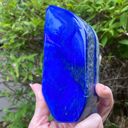 Lapis Lazuli Freeform