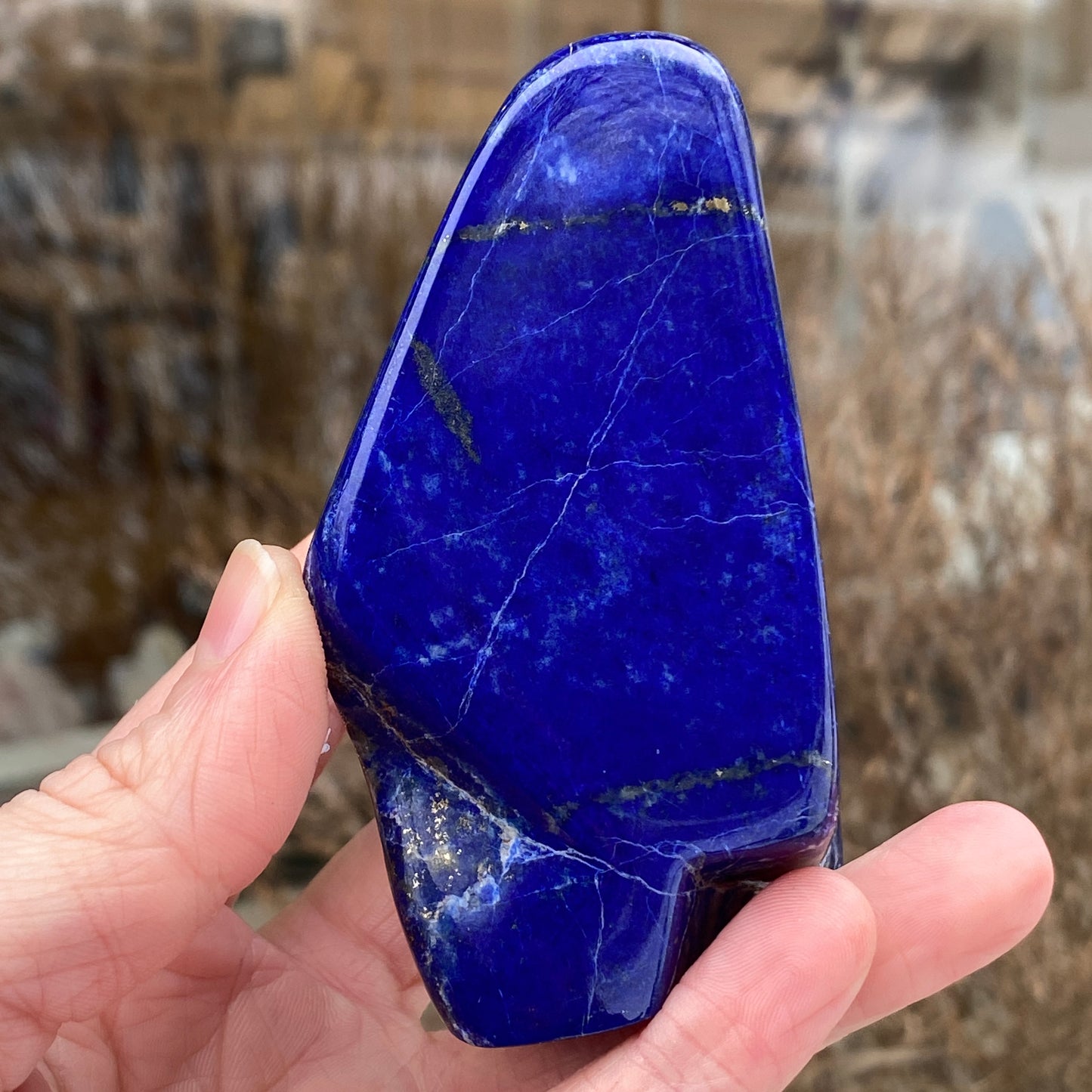 Lapis Lazuli Freeform