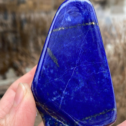 Lapis Lazuli Freeform