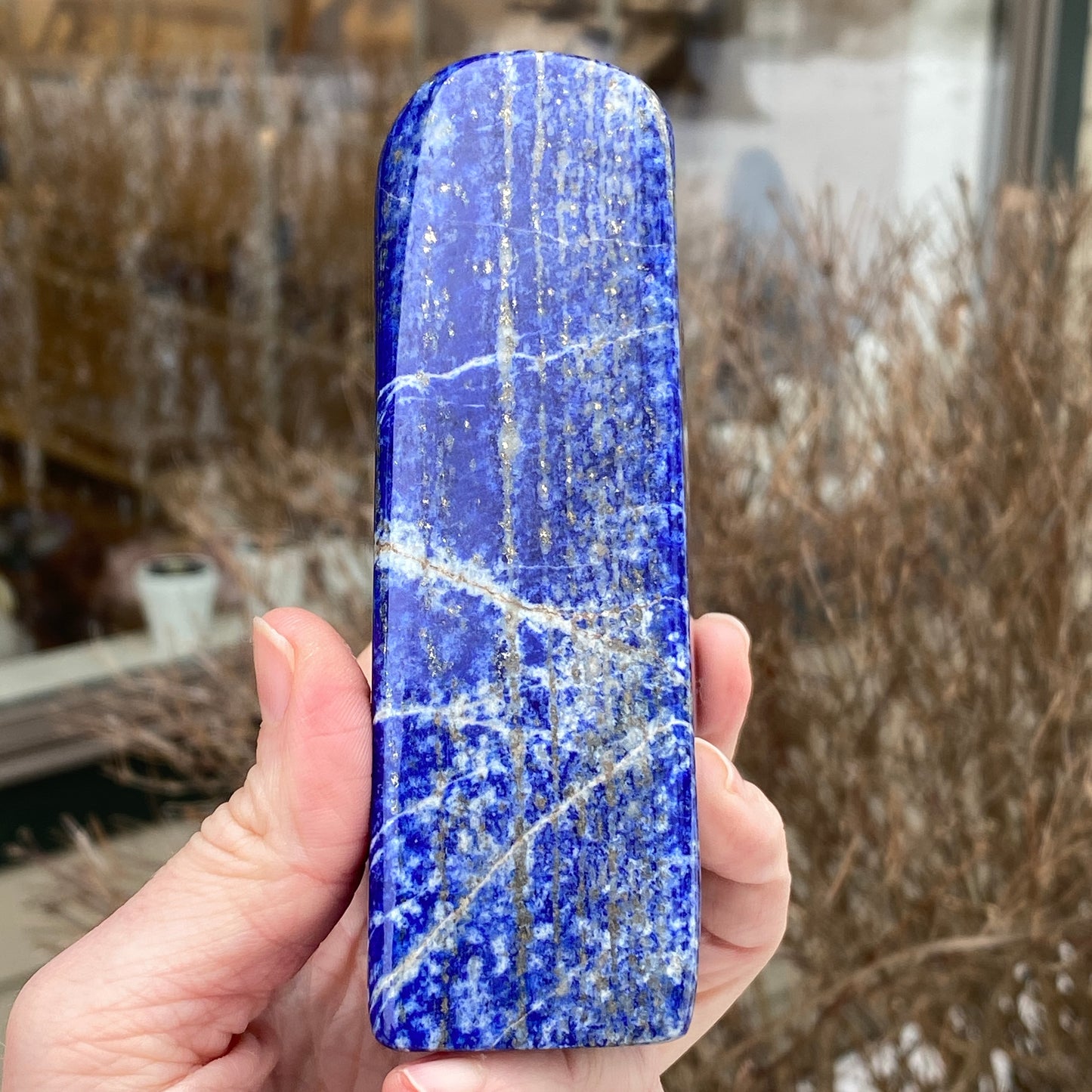 Lapis Lazuli Freeform