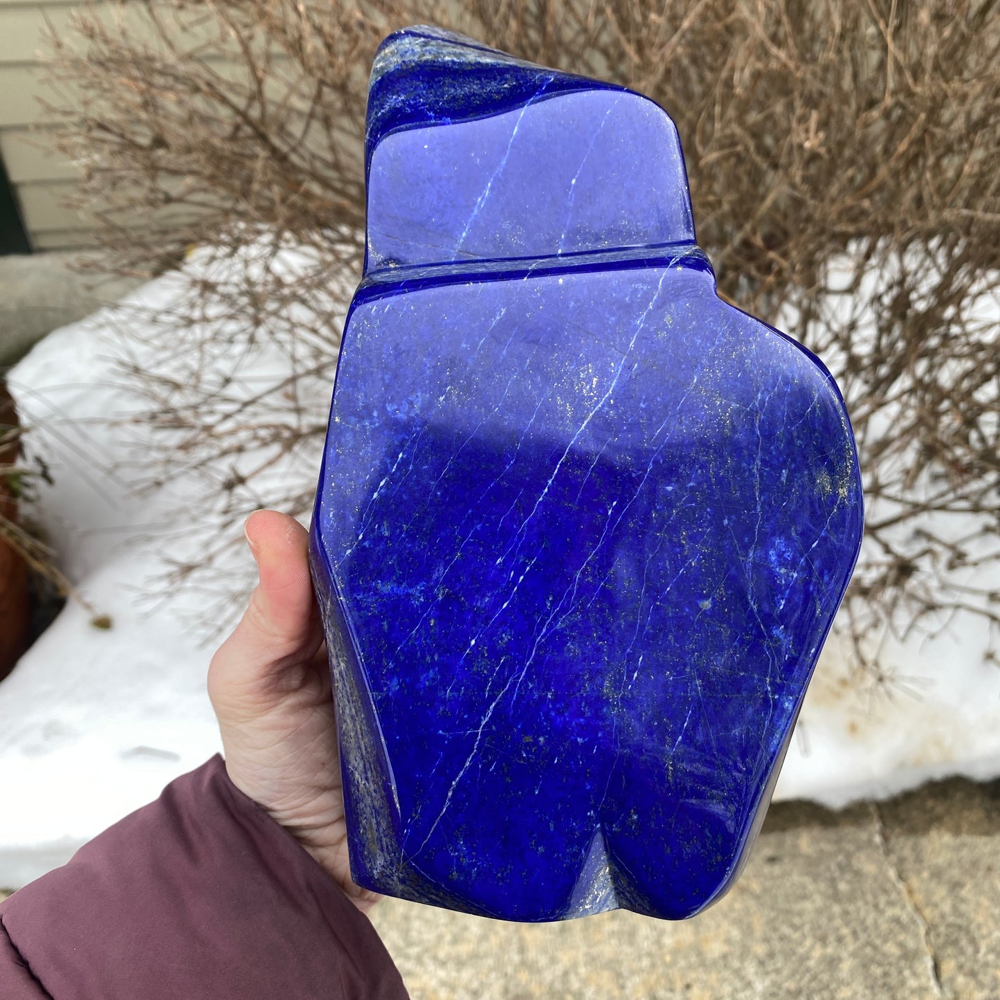 Lapis Lazuli Freeform