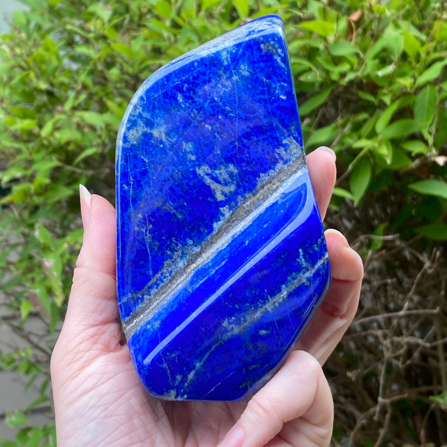 Lapis Lazuli Freeform