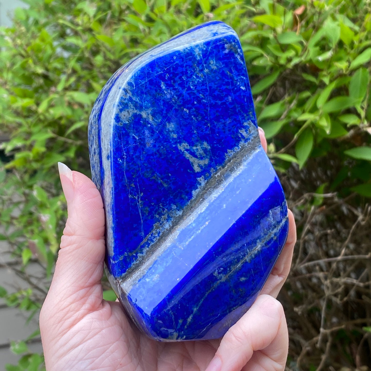 Lapis Lazuli Freeform