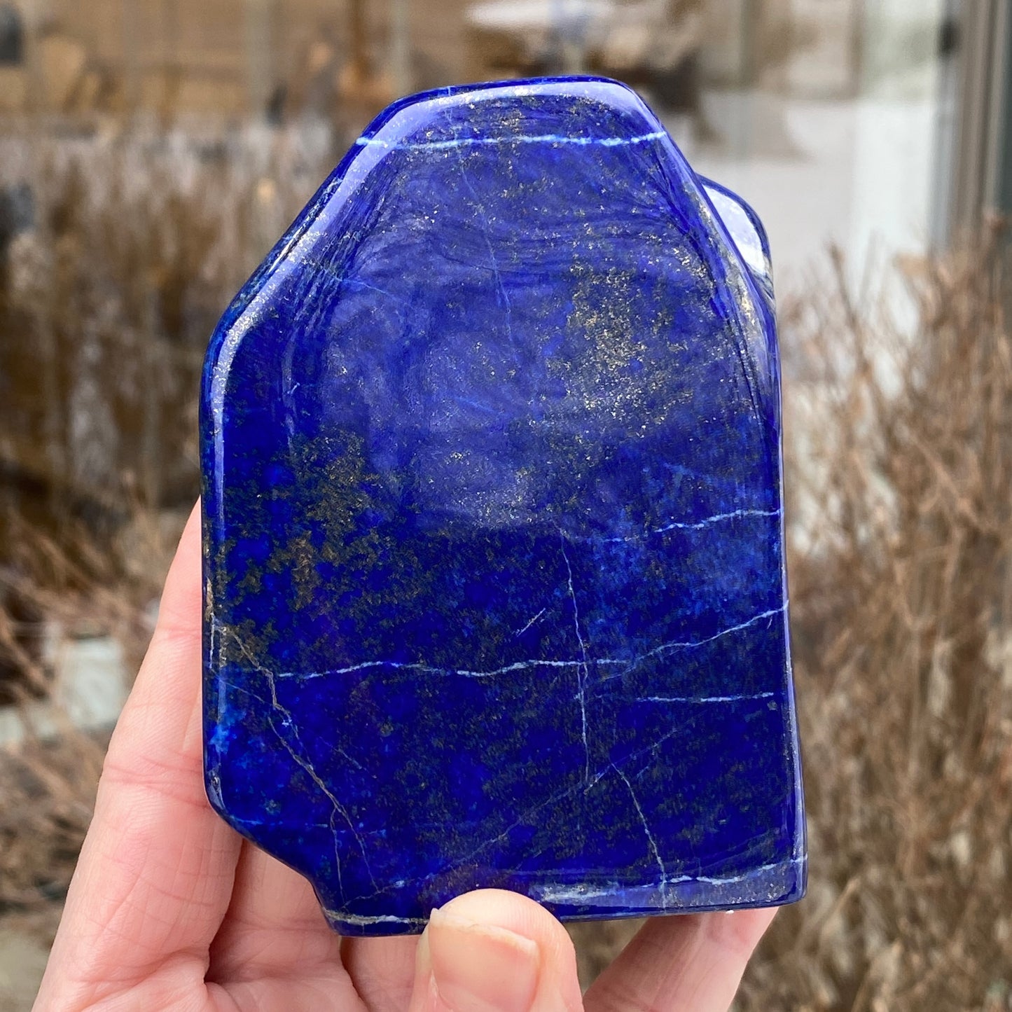 Lapis Lazuli Freeform