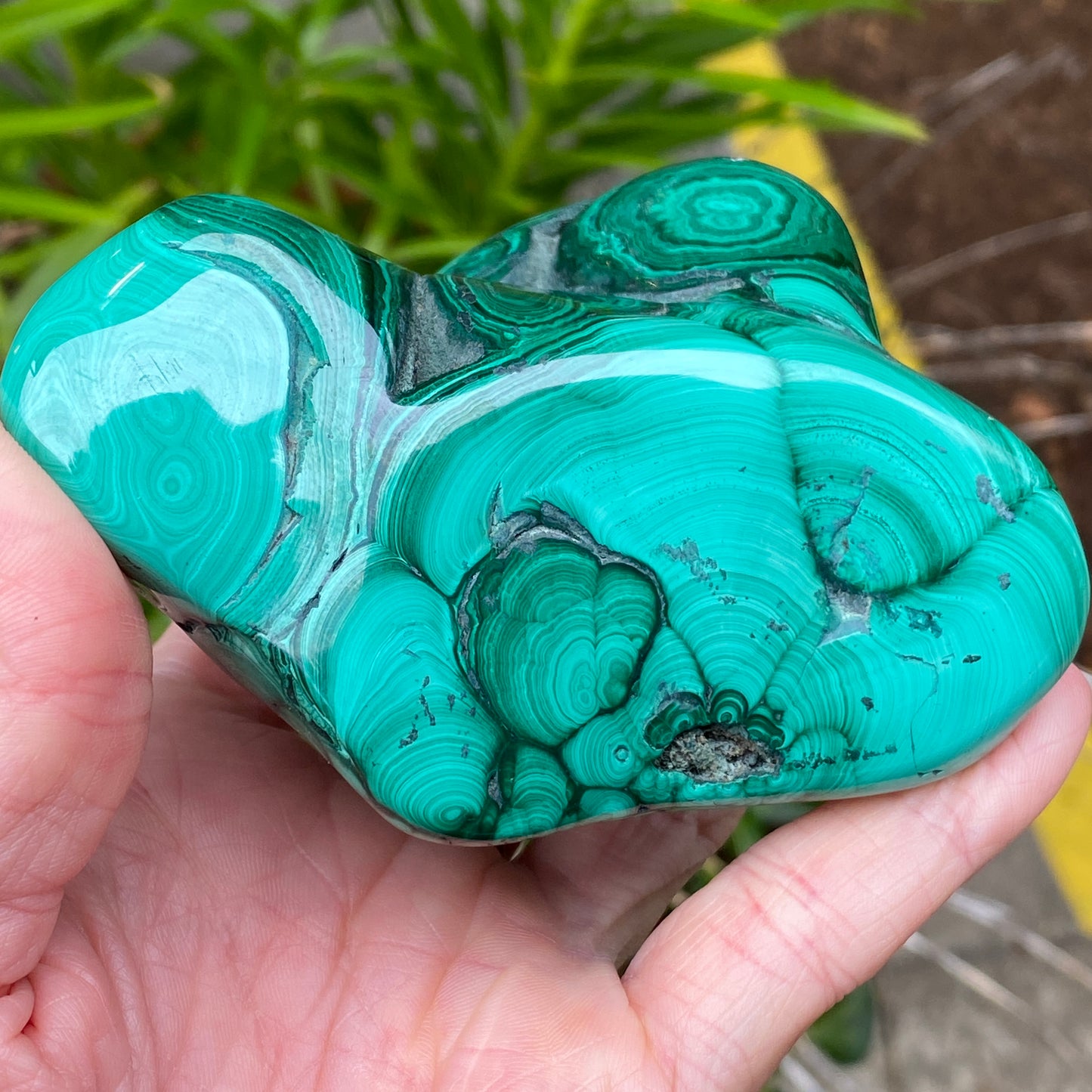 Malachite Freeform