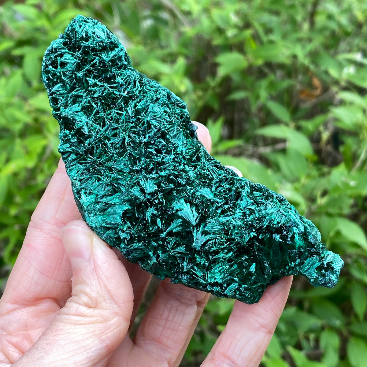 Fiberous Malachite