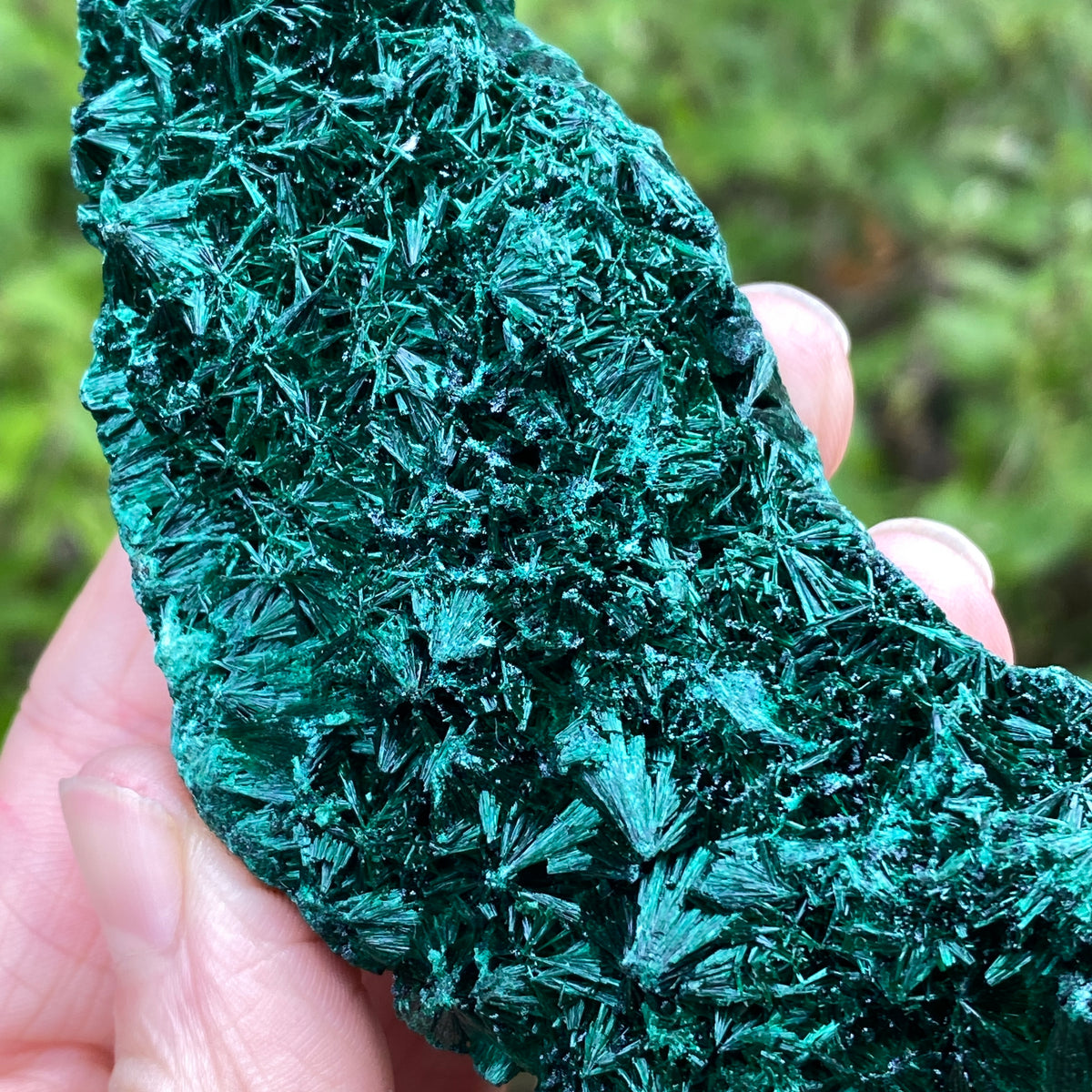 Fiberous Malachite