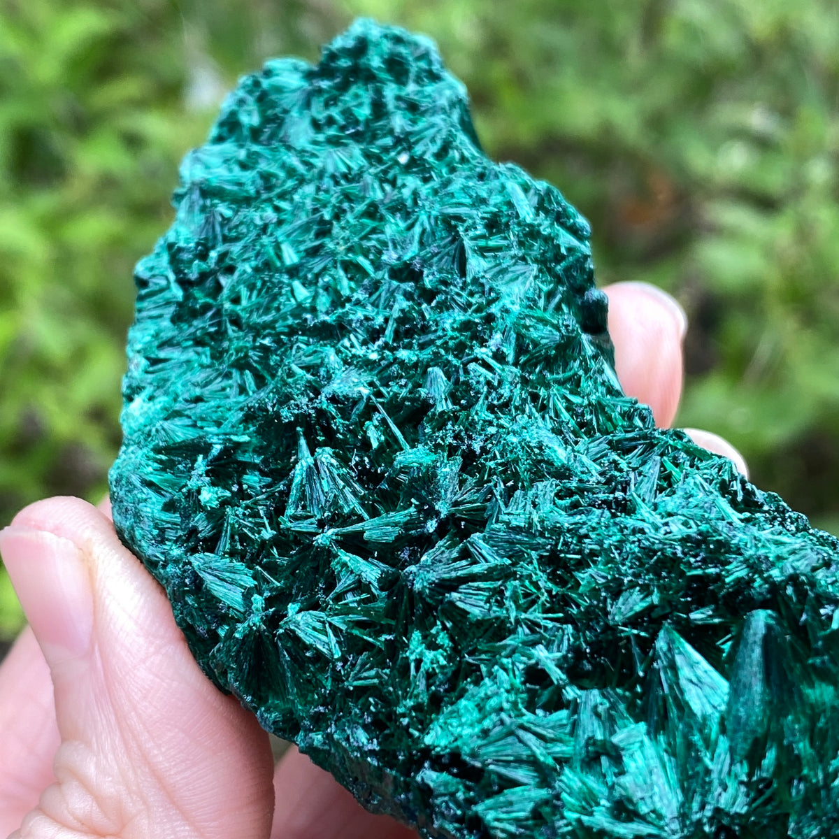 Fiberous Malachite