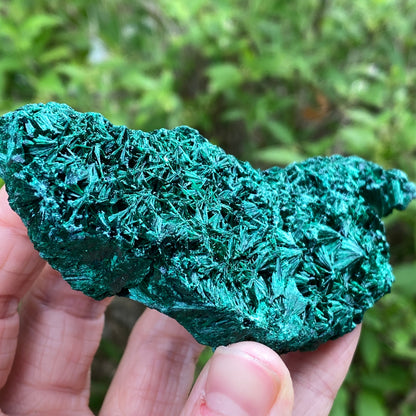 Fiberous Malachite