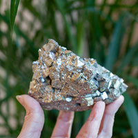Cubic Pyrite Cluster, Peru