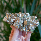 Cubic Pyrite Cluster, Peru