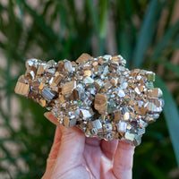Cubic Pyrite Cluster, Peru