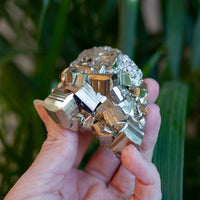 Cubic Pyrite Cluster, Peru