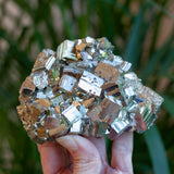 Cubic Pyrite Cluster, Peru
