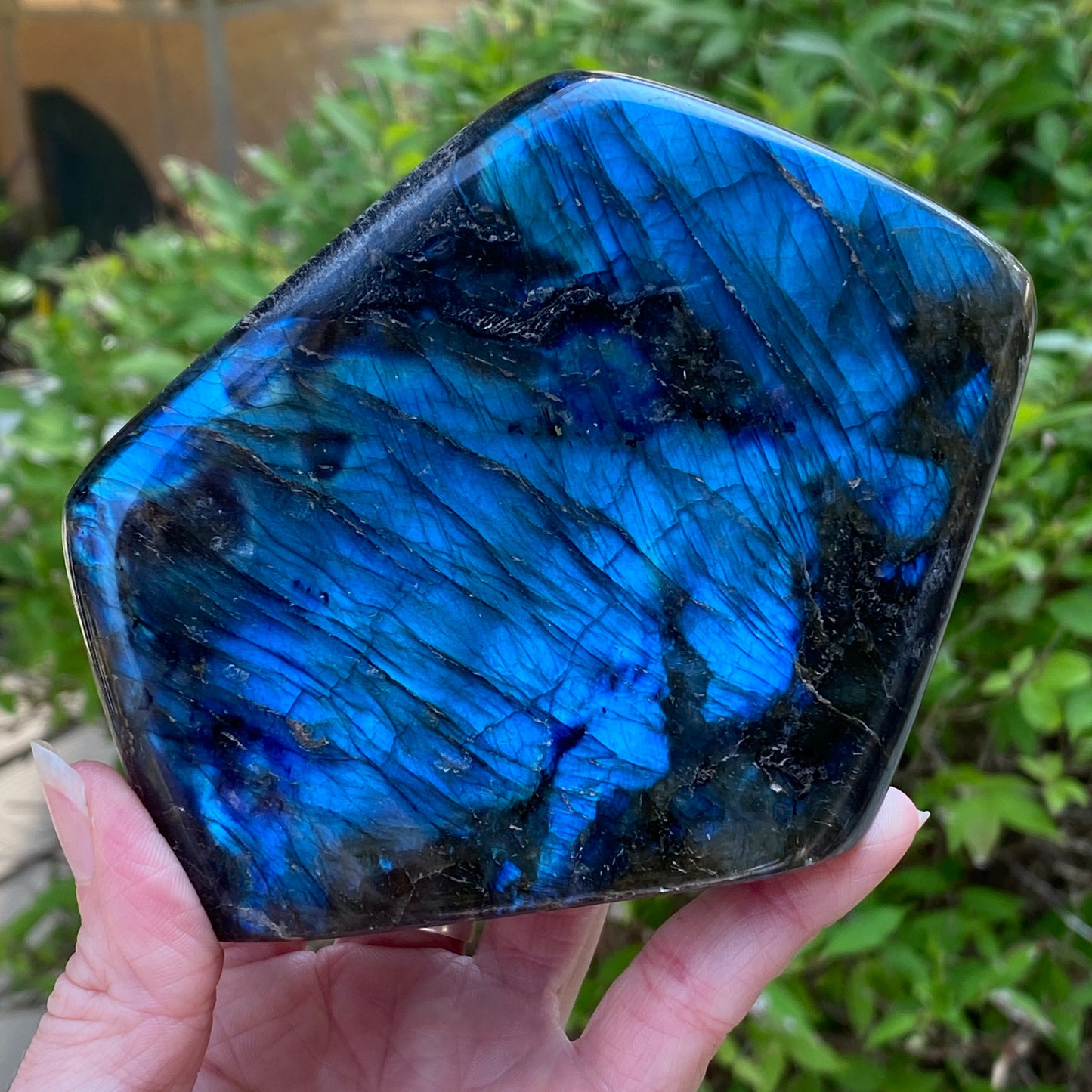 Labradorite Freeform
