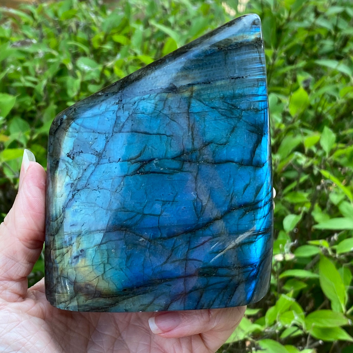 Labradorite Freeform