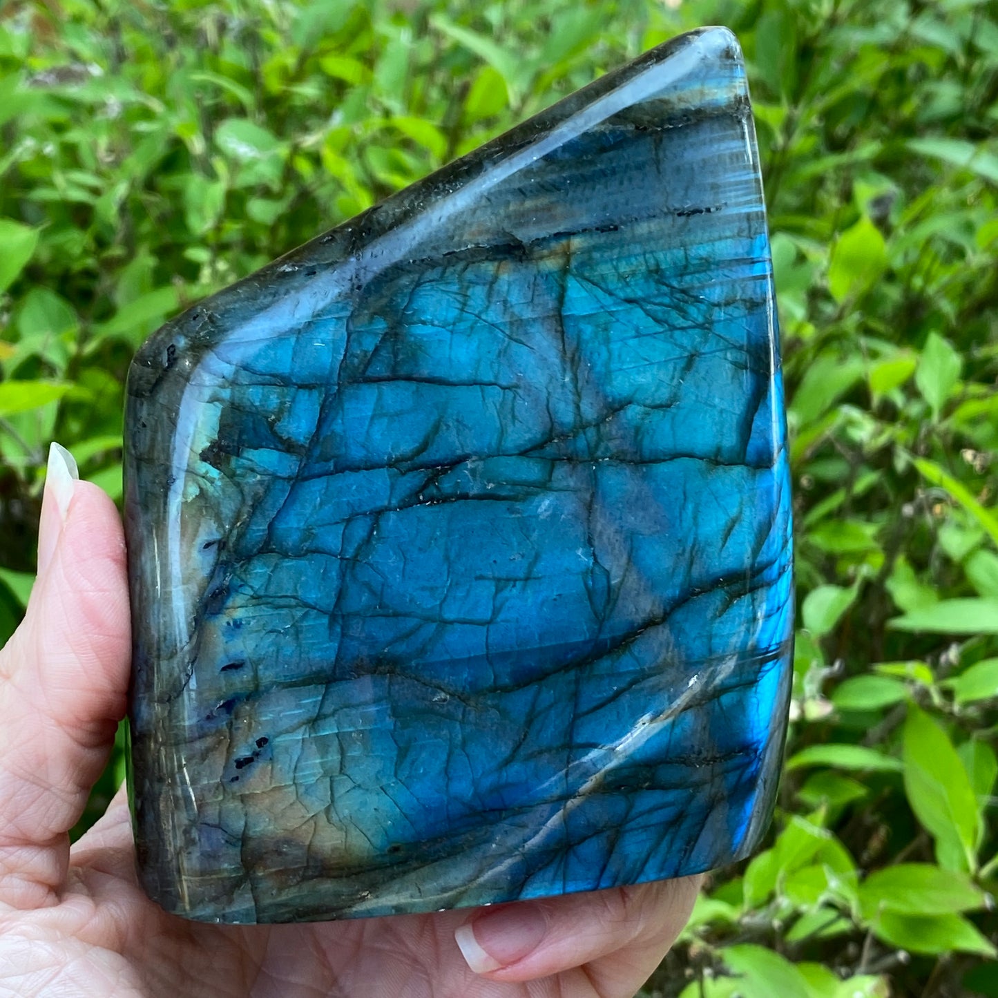 Labradorite Freeform