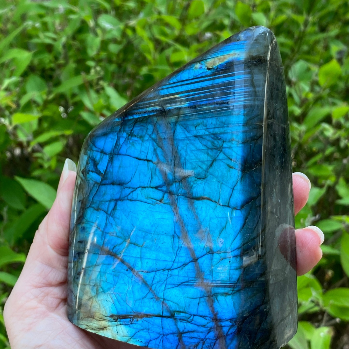 Labradorite Freeform