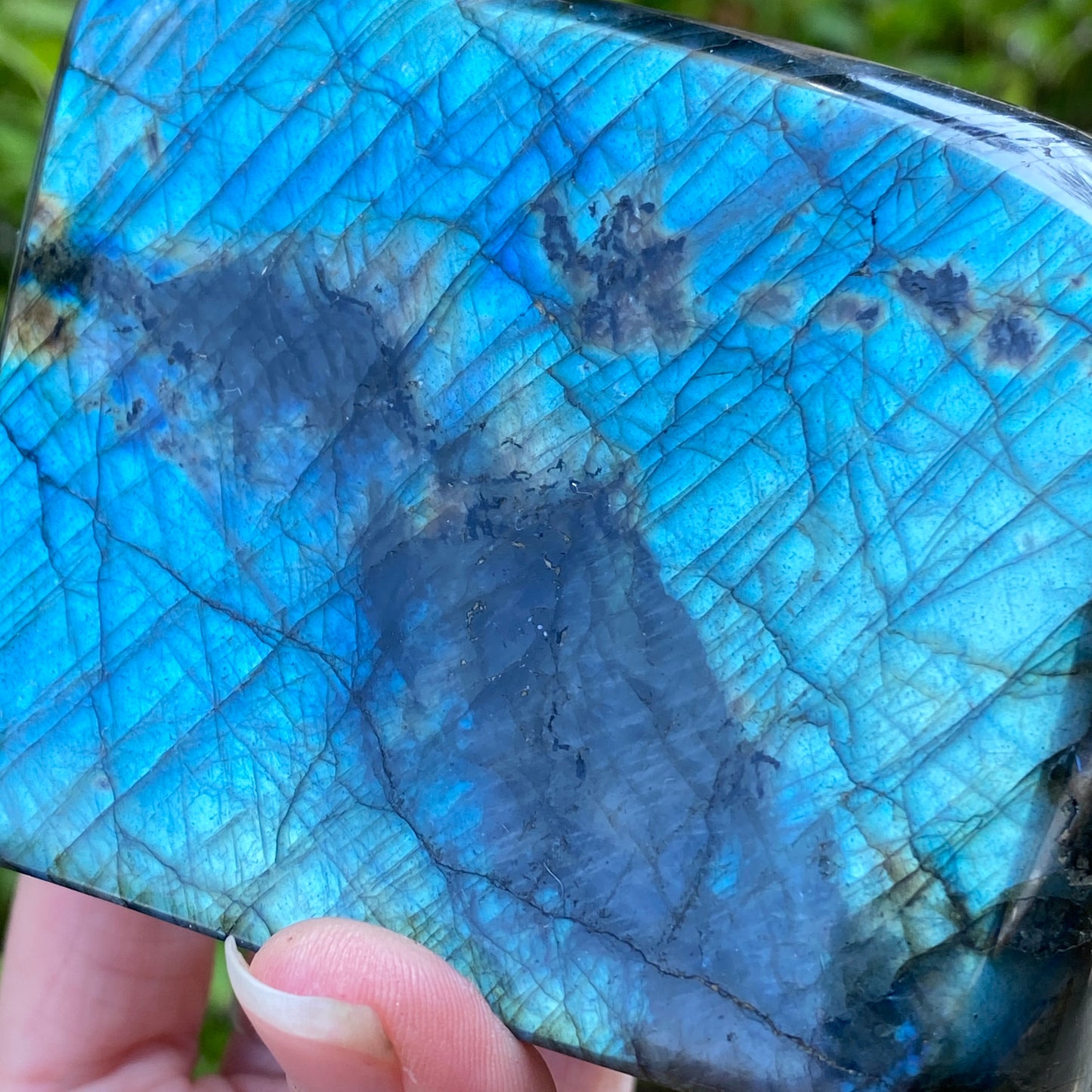 Labradorite Freeform