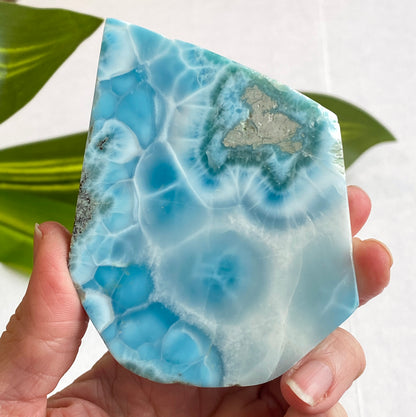 Larimar Slab, Standing