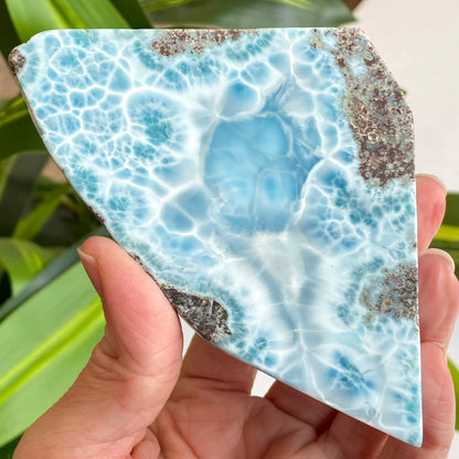 Larimar Slab, Standing