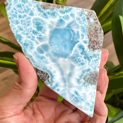 Larimar Slab, Standing