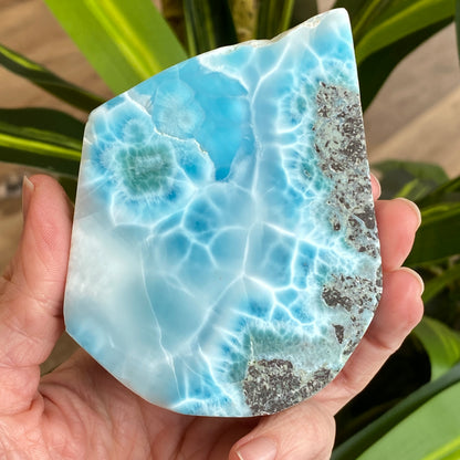 Larimar Slab, Standing