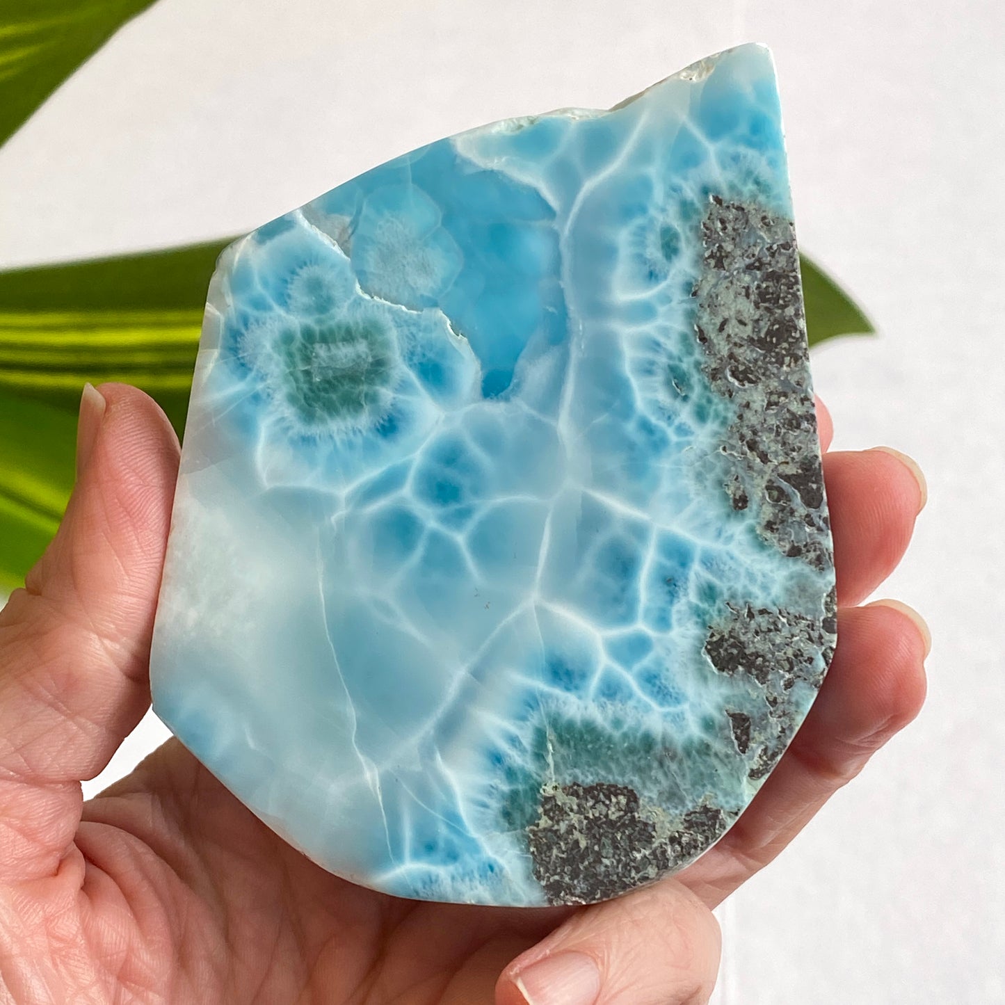 Larimar Slab, Standing