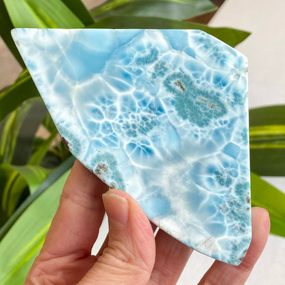 Larimar Slab, Standing