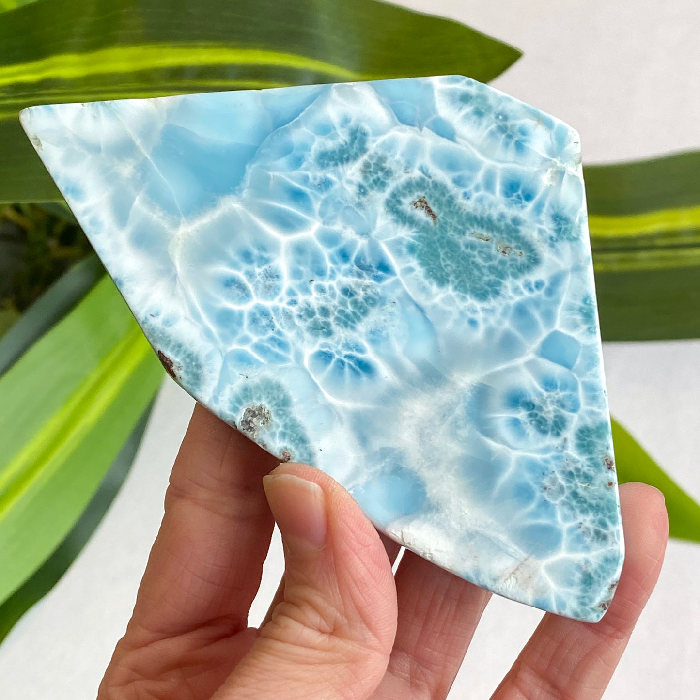 Larimar Slab, Standing