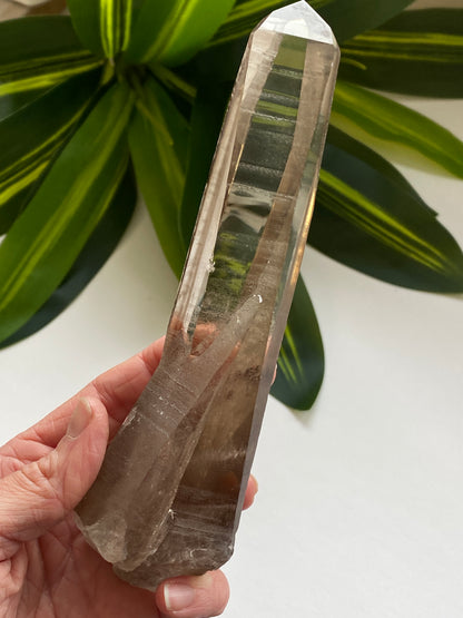 Smoky Lemurian Quartz