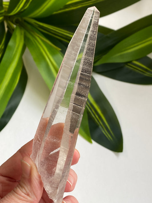 Lemurian Quartz