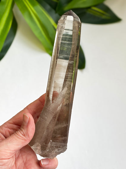 Smoky Lemurian Quartz