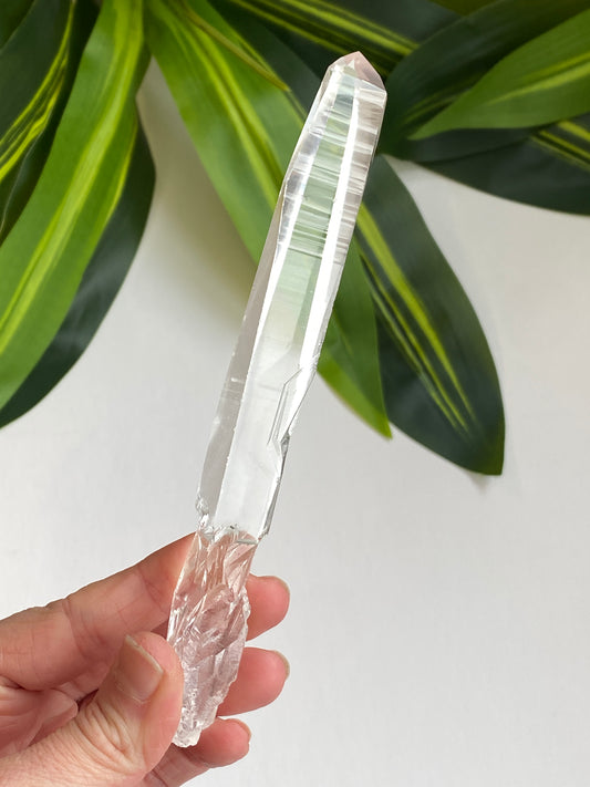 Lemurian Quartz