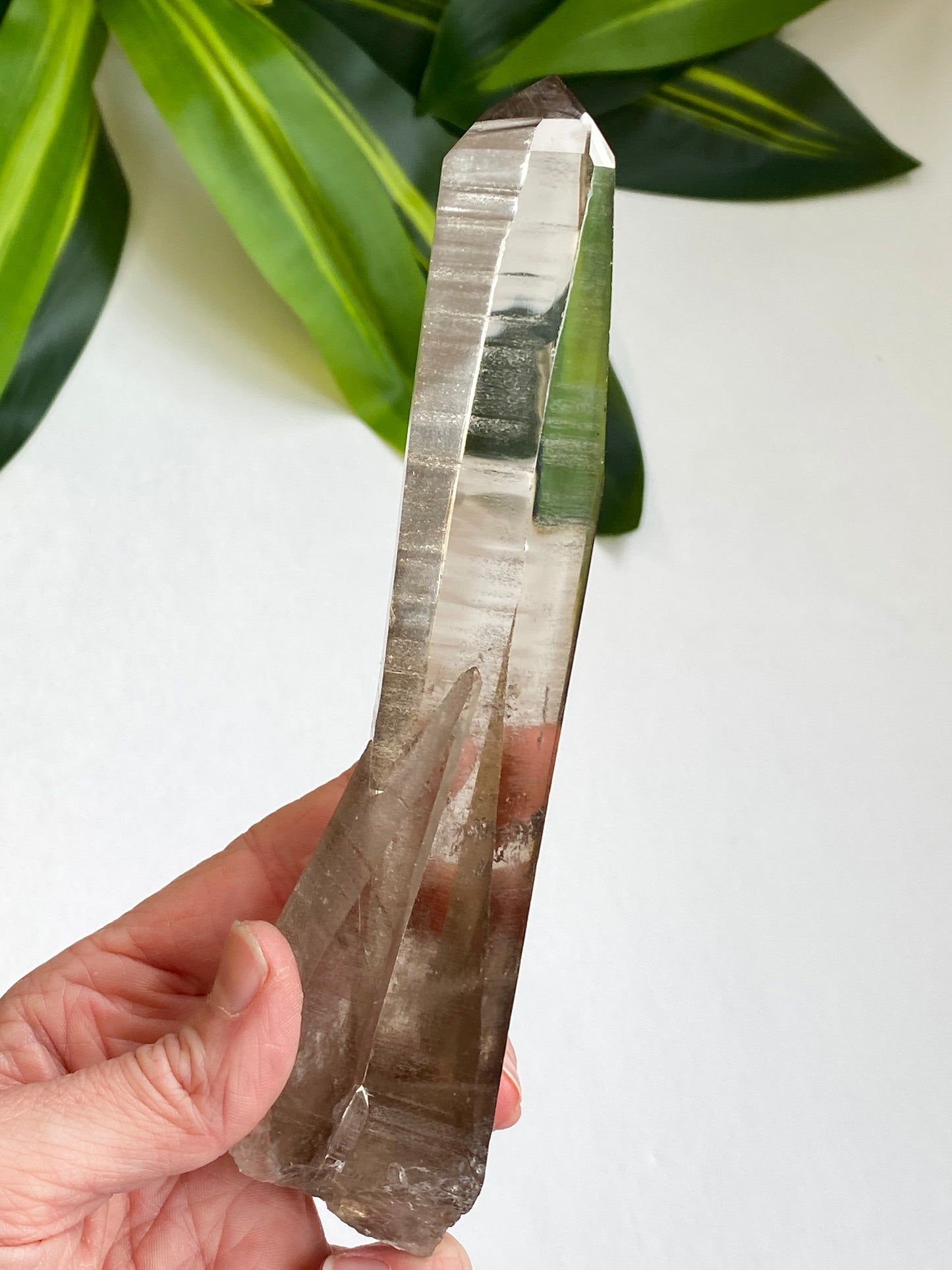Smoky Lemurian Quartz