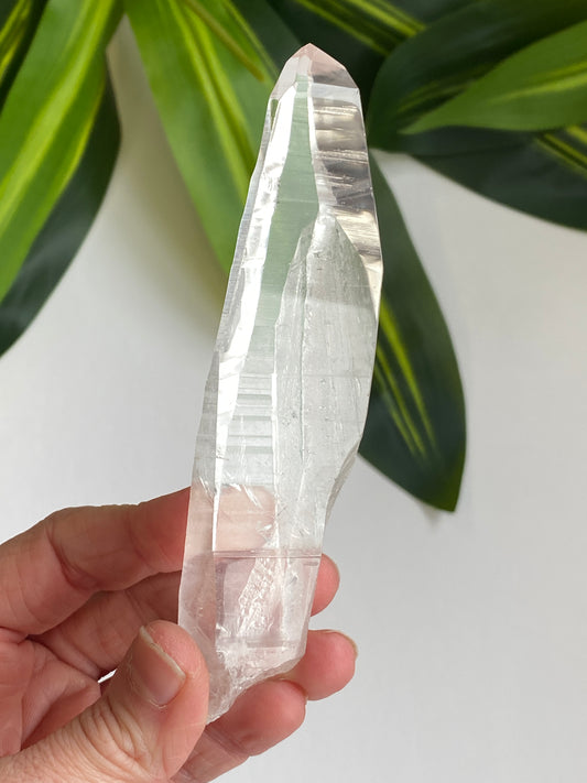 Lemurian Quartz